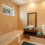 فيلة Cabanita *
